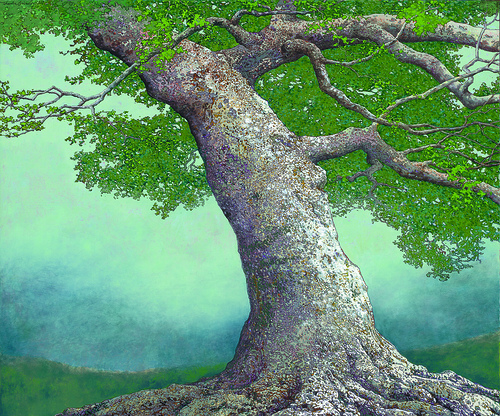 536199917_47eb190ef1