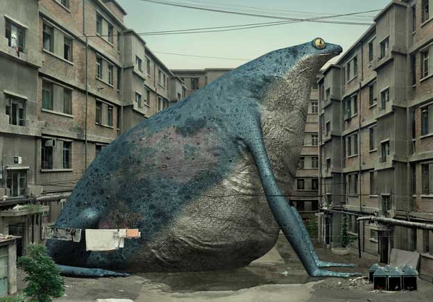 Animal-Regulation-2-Liu-Di