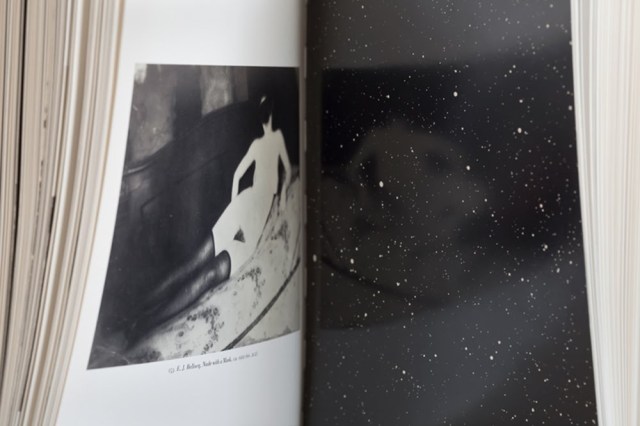 BARTLEY_THE WAKING DREAM_2011