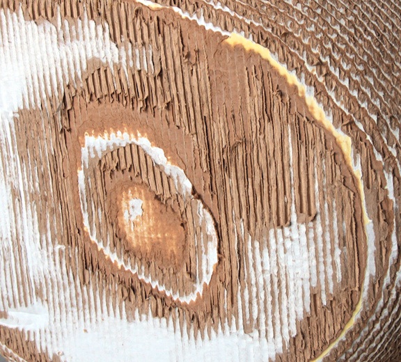 Nautilus_detail 1_72