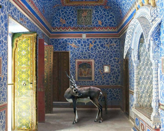 image-11.jpg karen knorr