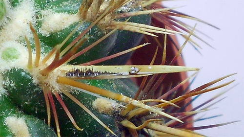 tumblr_mkp020rDF61r7l28fo6_500