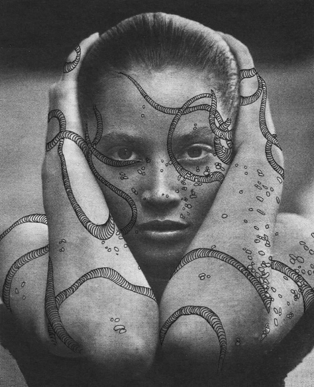 Alana-Dee-Haynes_web22