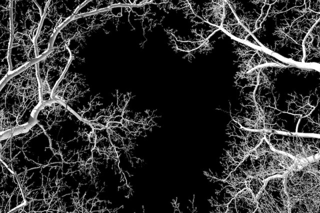 Winter White 48063 - Version 2