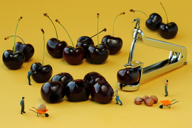 cherry-pitters