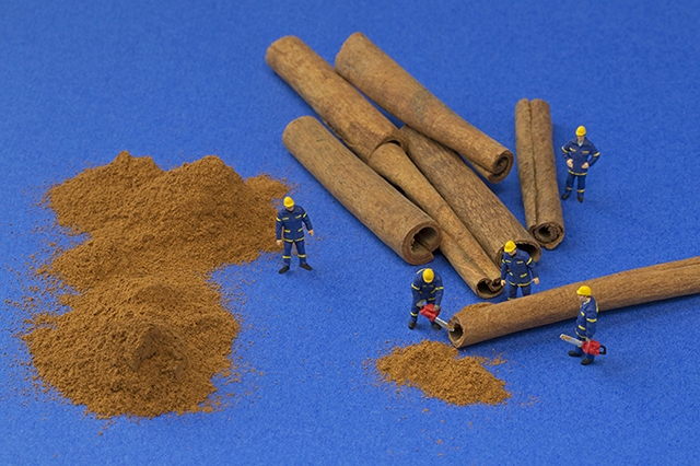 cinnamon-lumberjacks-640px