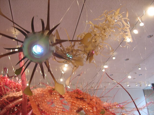 2906122500_97a9b6c6b8_o