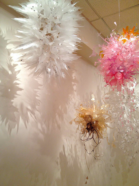 7965805042_261694db87_z