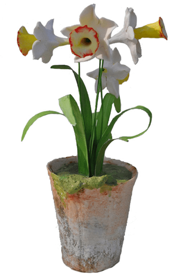main_item_vieuxtemps-porcelain-on-taigan-daffodil