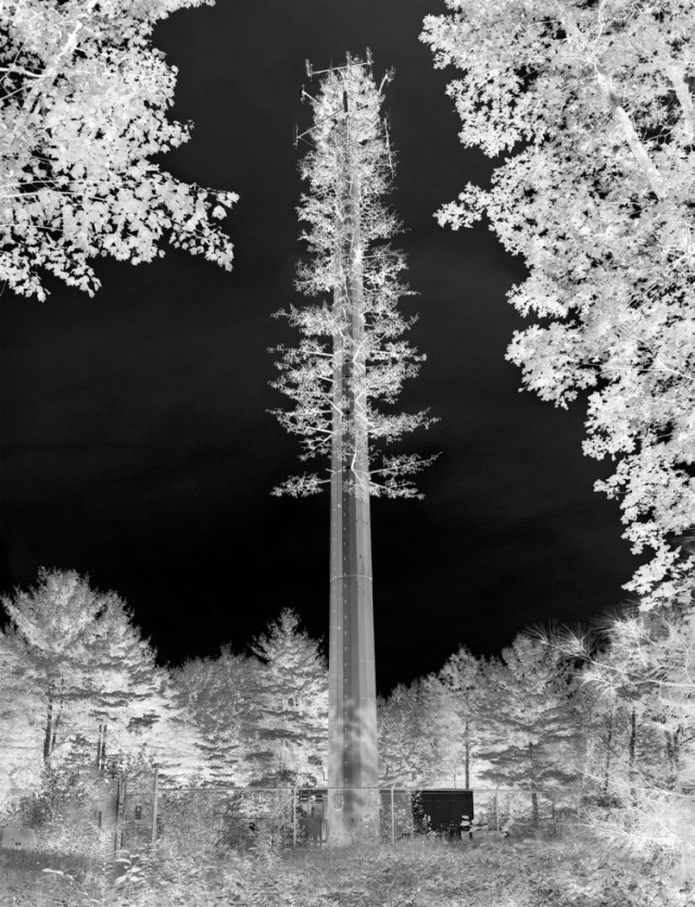 Fake Tree Tower, NY 2009