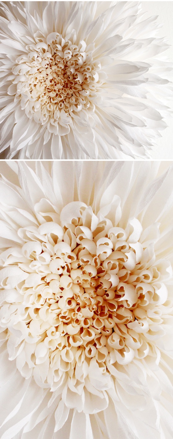 TiffanieTurner10 (1)