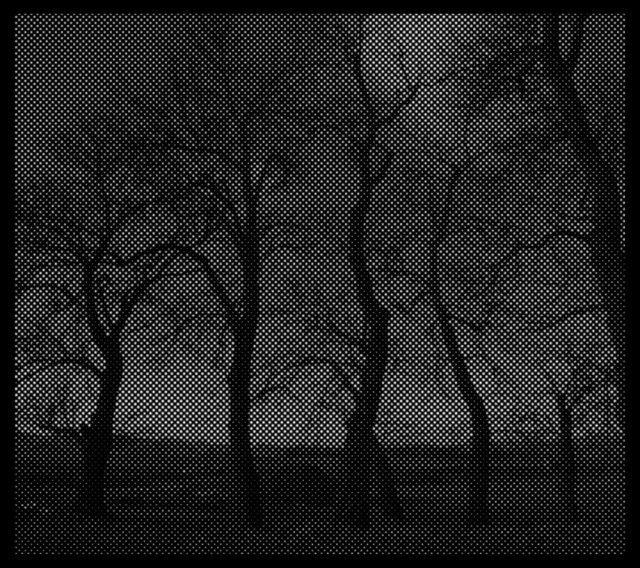 Darkness Illuminated