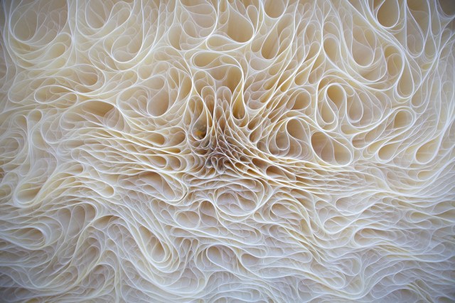 vinkmainimgfilenBnifmLyNREPRIWEKavFrSywkzIfzMEfGTGPZQXQWpGthFeGEFFNKppFienh