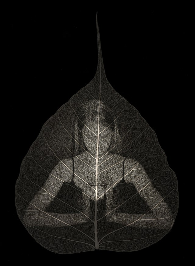 TedPreuss_Illuminate