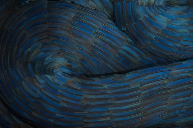 Kate MccGwire Sculpture